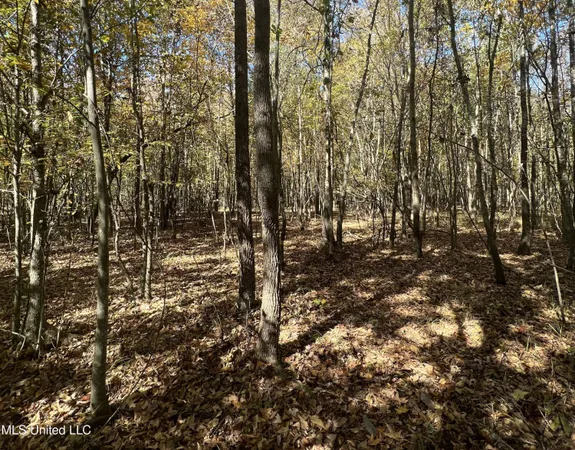$285,000 | 5151 Nash Road, Batesville, MS 38606