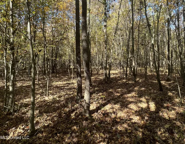 $285,000 | 5177 B Nash Road, Batesville, MS 38606