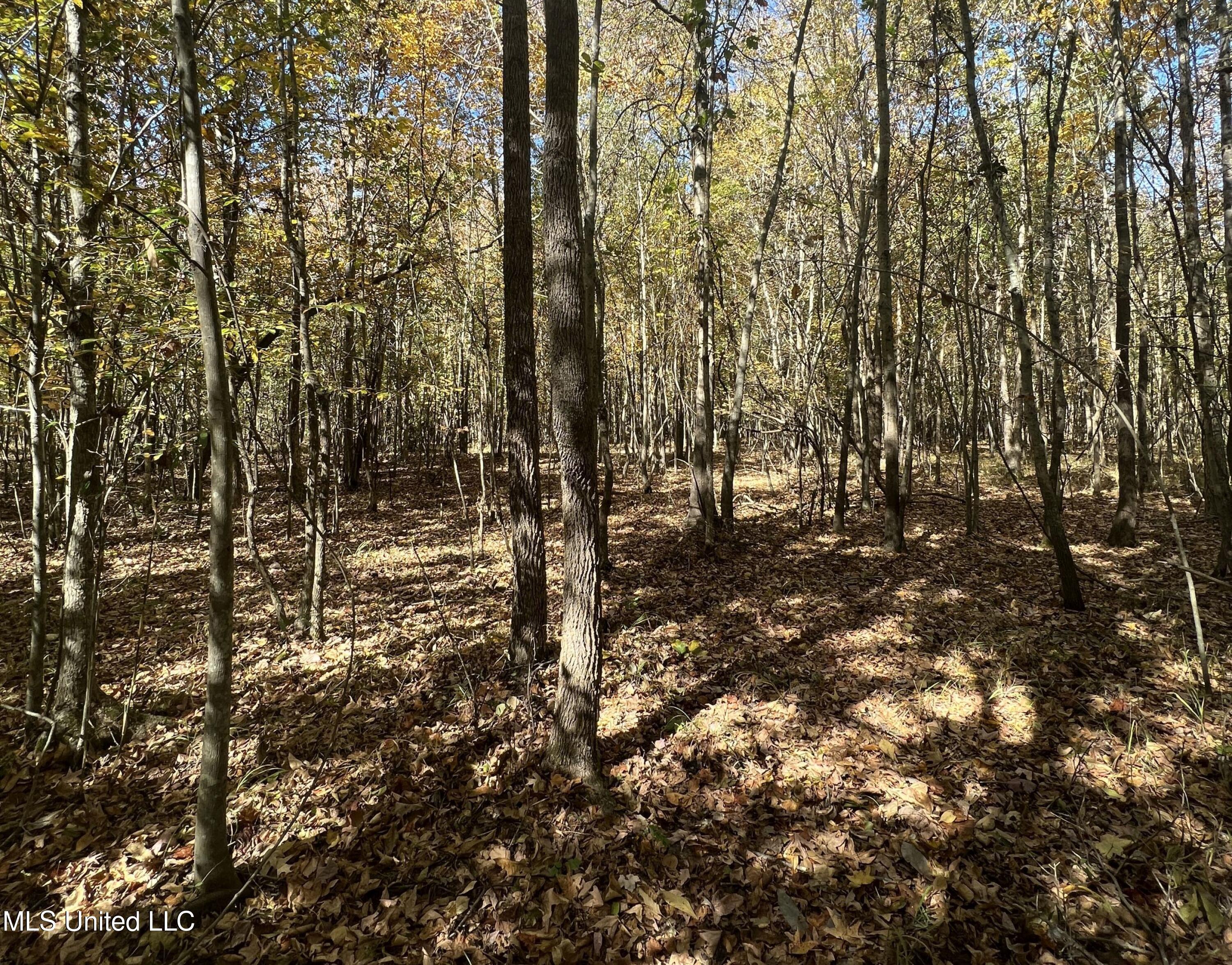 5151 Nash Road Batesville, MS 38606 - Photo 42 of 75 3irvi35