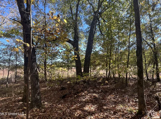 $285,000 | 5177 B Nash Road, Batesville, MS 38606