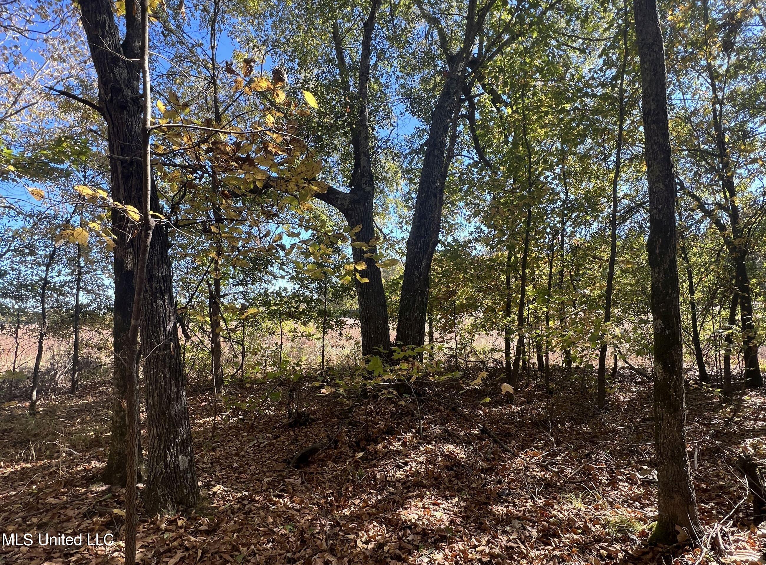 5151 Nash Road Batesville, MS 38606 - Photo 43 of 75 3irvi37