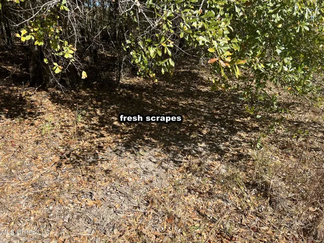 $285,000 | 5177 B Nash Road, Batesville, MS 38606