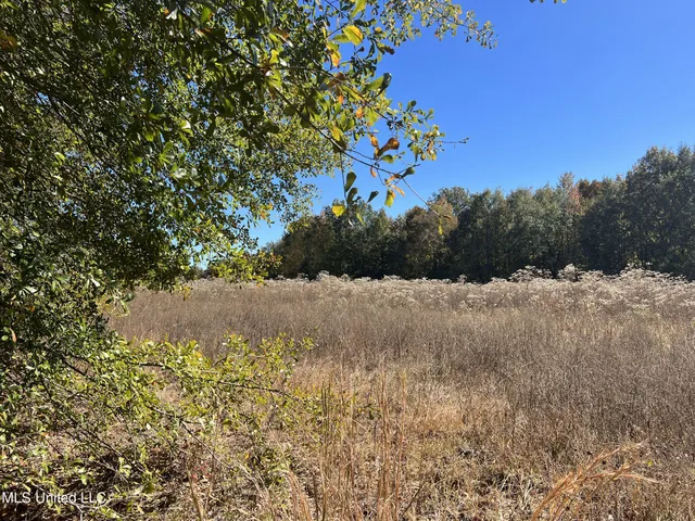 $285,000 | 5177 B Nash Road, Batesville, MS 38606