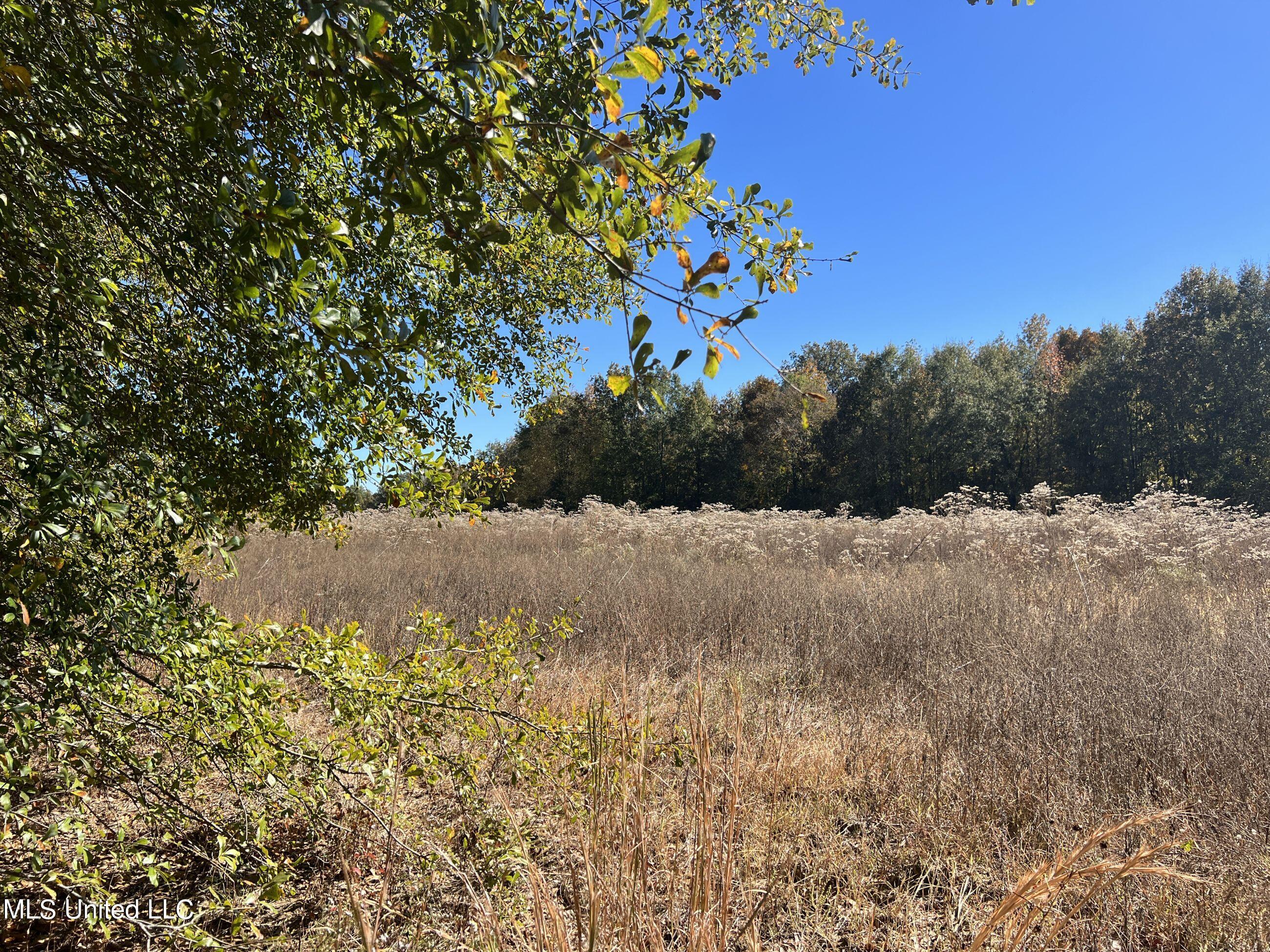 5151 Nash Road Batesville, MS 38606 - Photo 46 of 75 3irvi40