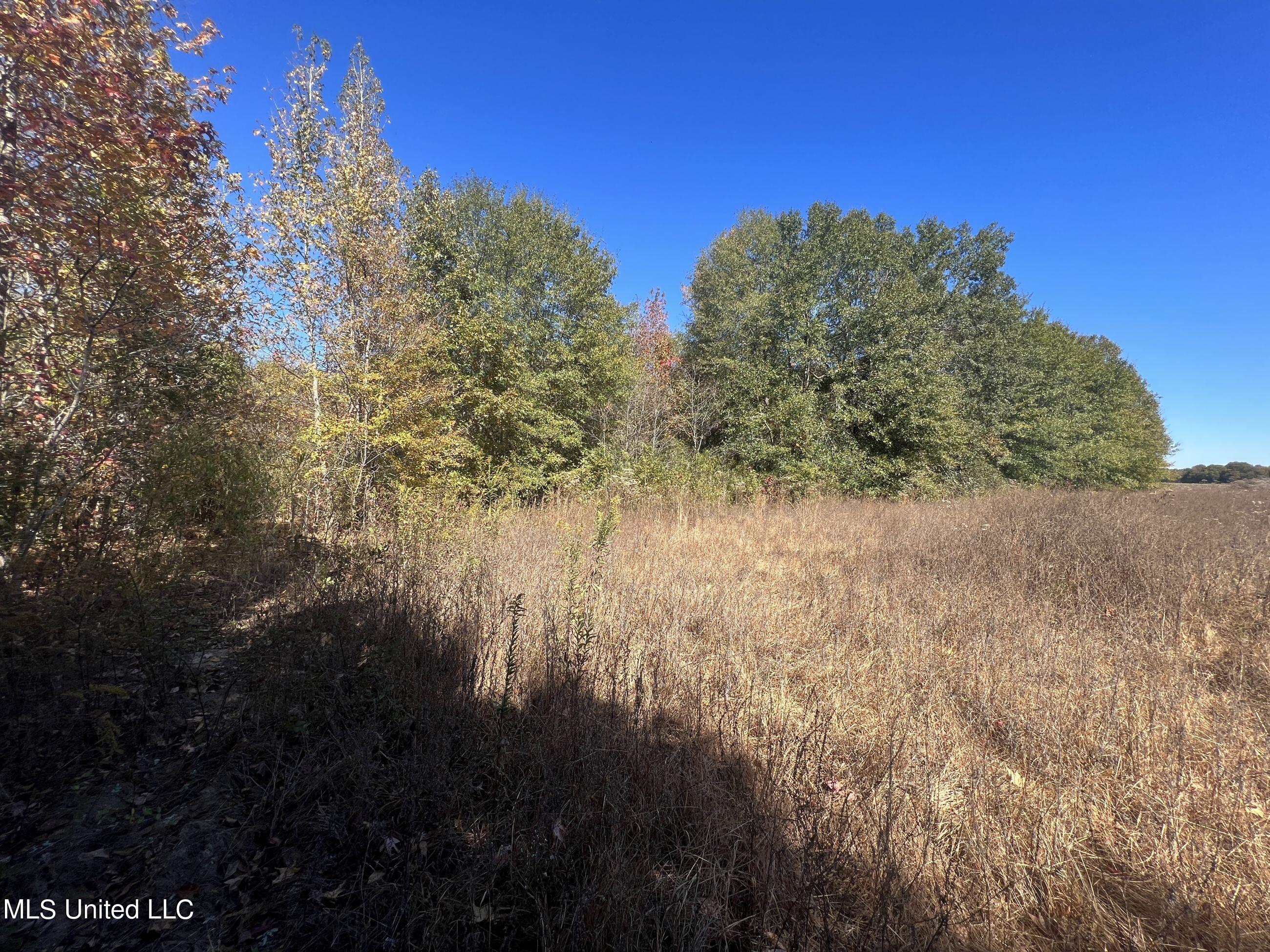 5151 Nash Road Batesville, MS 38606 - Photo 47 of 75 3irvi41