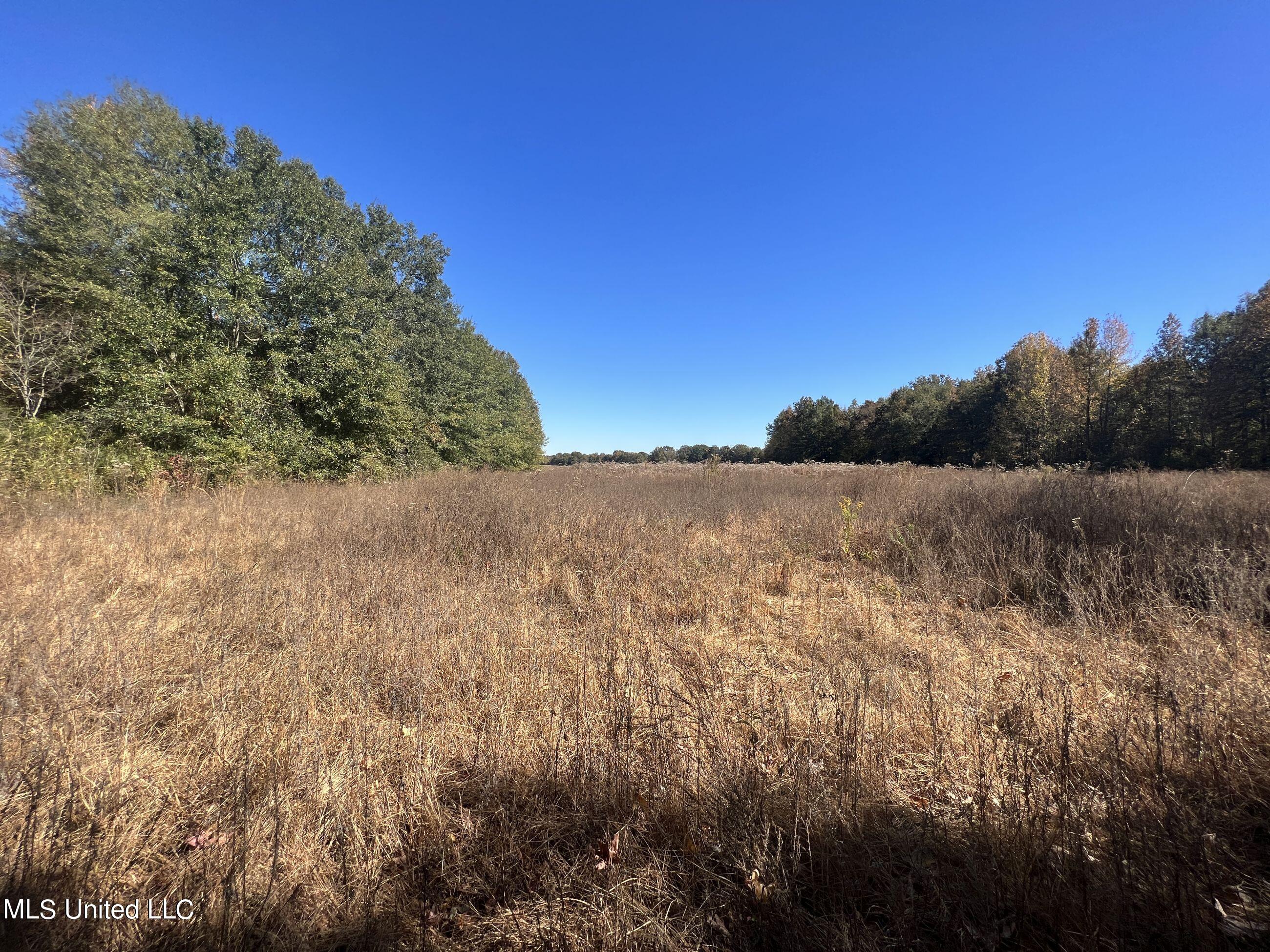 5151 Nash Road Batesville, MS 38606 - Photo 48 of 75 3irvi42