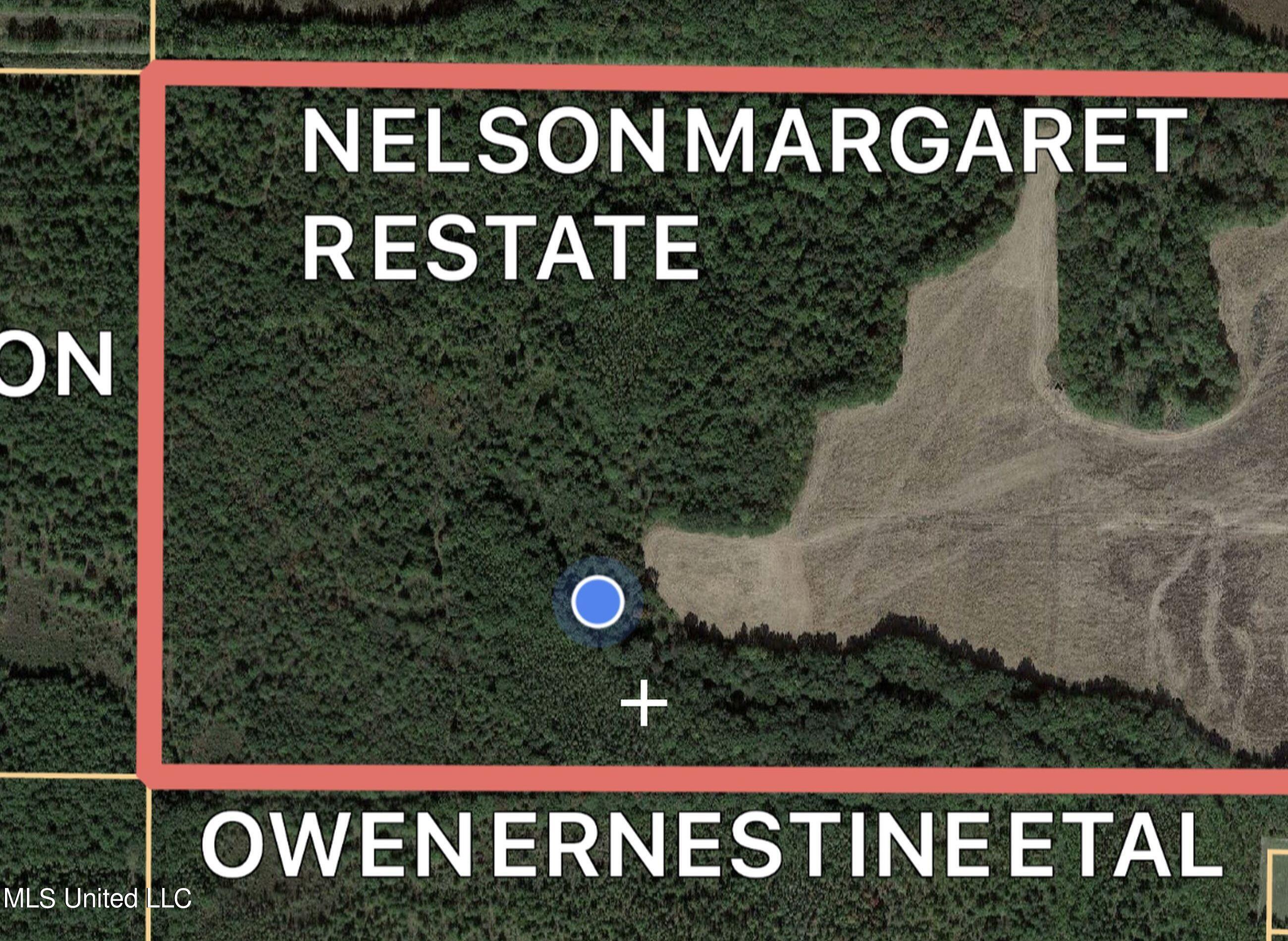 5151 Nash Road Batesville, MS 38606 - Photo 49 of 75 3irvi43