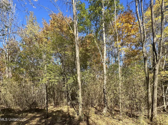 $285,000 | 5177 B Nash Road, Batesville, MS 38606