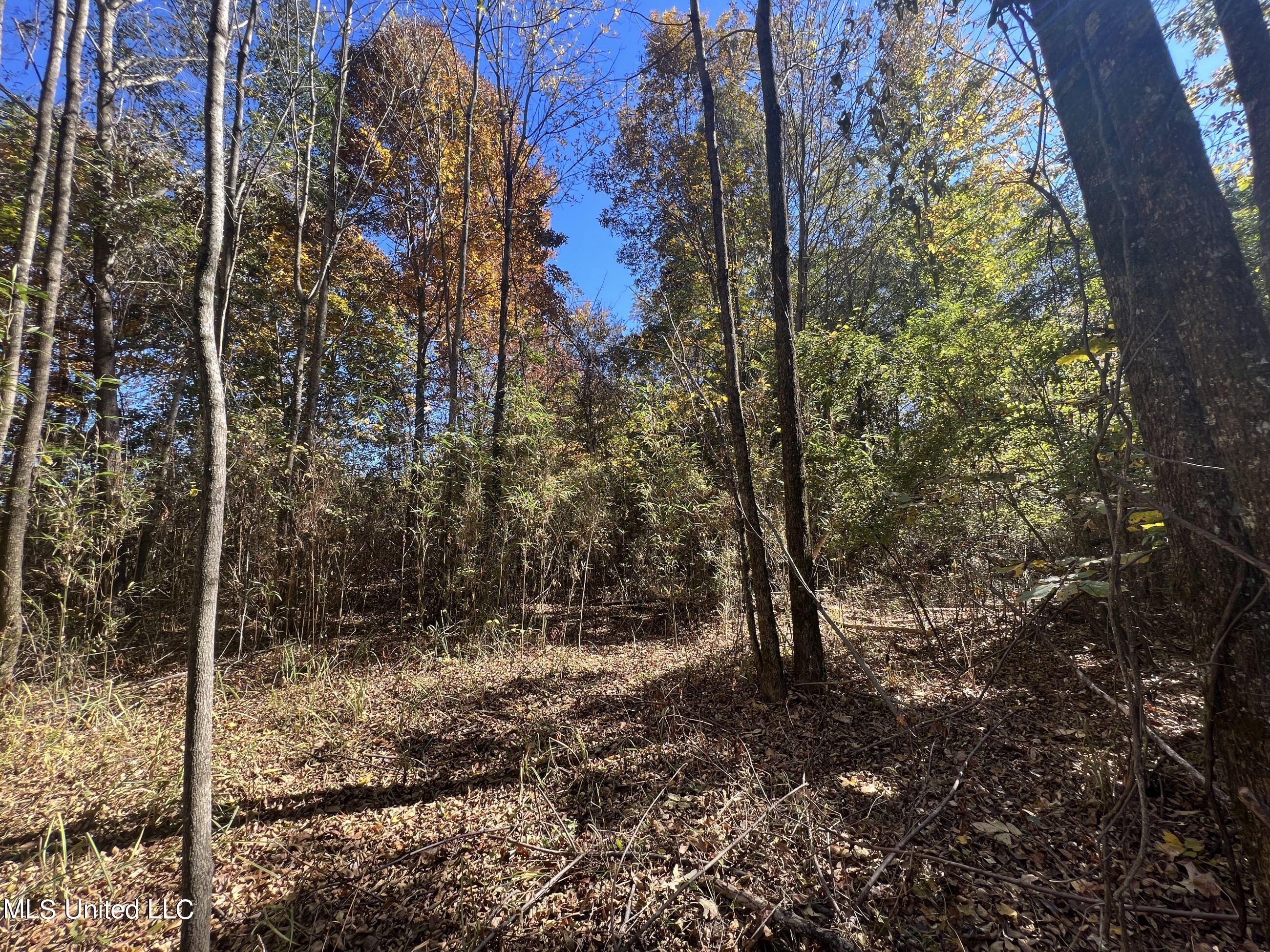 5151 Nash Road Batesville, MS 38606 - Photo 52 of 75 3irvi46