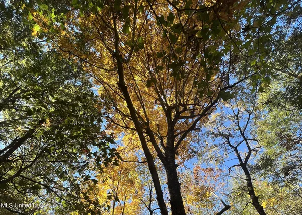 $285,000 | 5151 Nash Road, Batesville, MS 38606