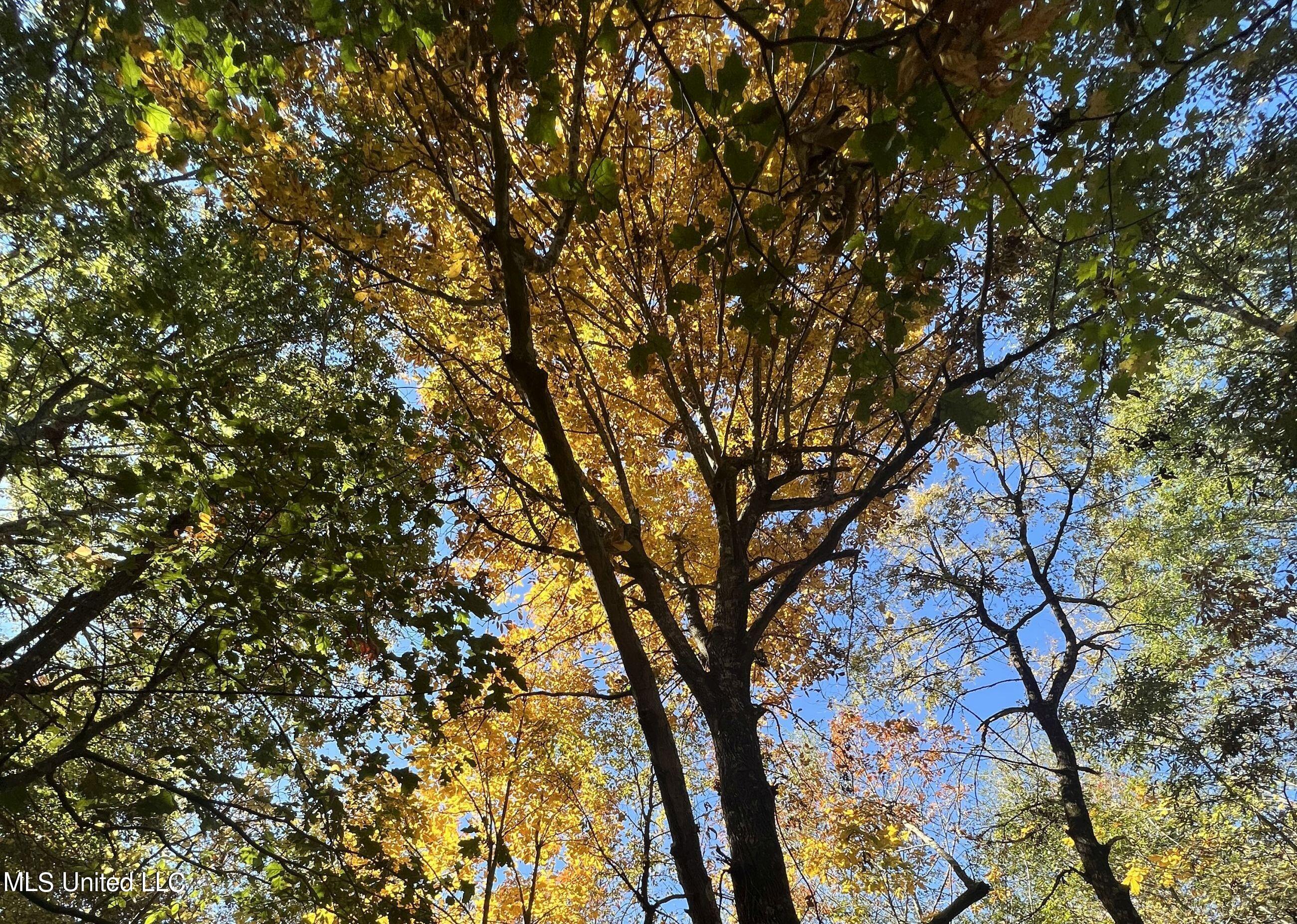 5151 Nash Road Batesville, MS 38606 - Photo 54 of 75 3irvi48