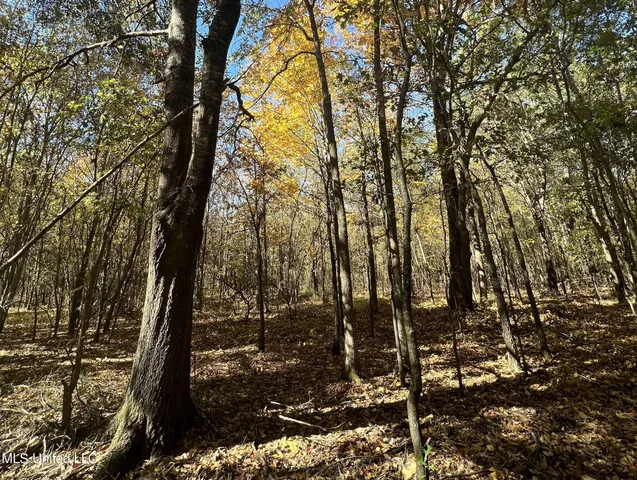 $285,000 | 5177 B Nash Road, Batesville, MS 38606