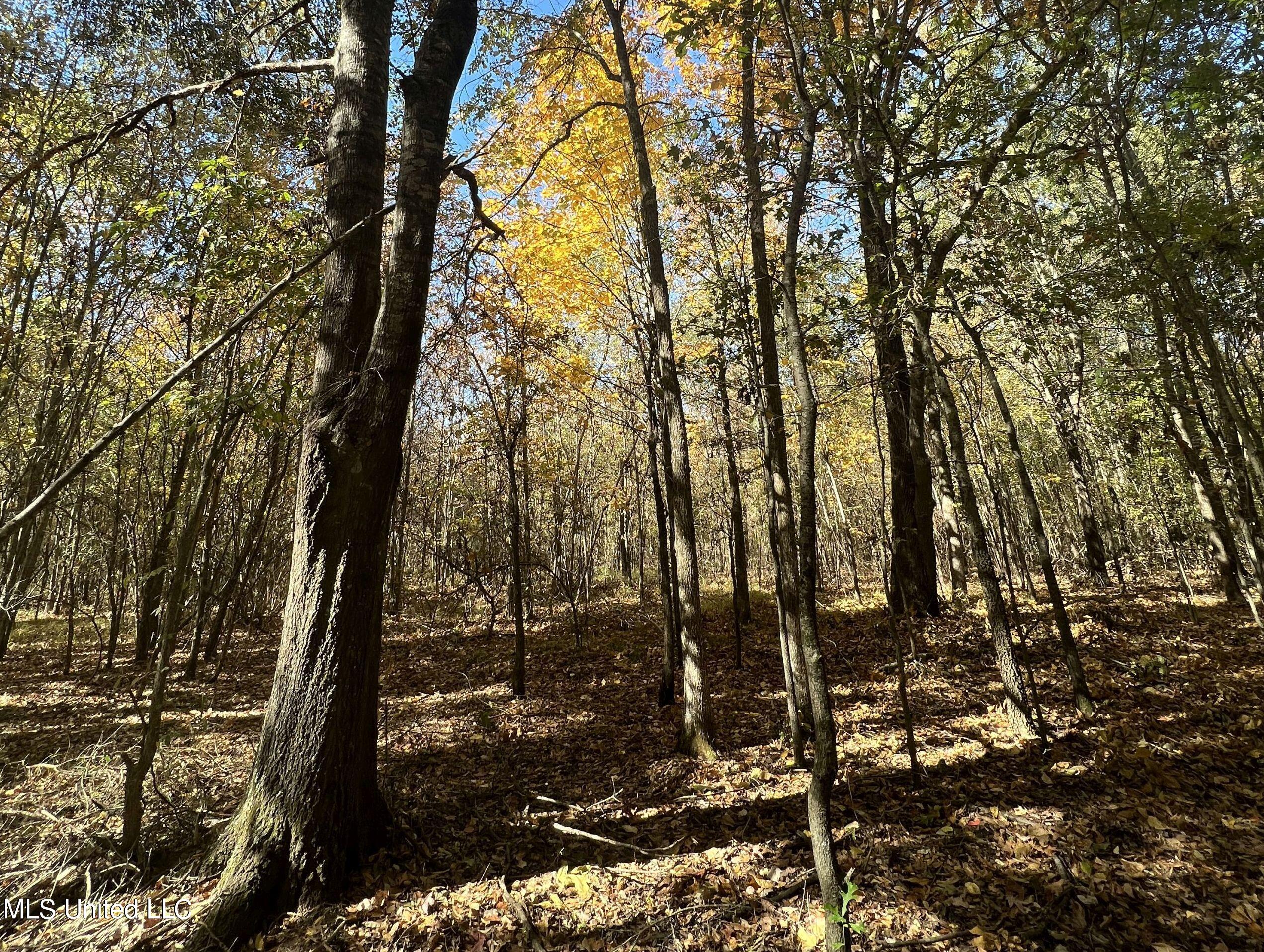 5151 Nash Road Batesville, MS 38606 - Photo 55 of 75 3irvi50