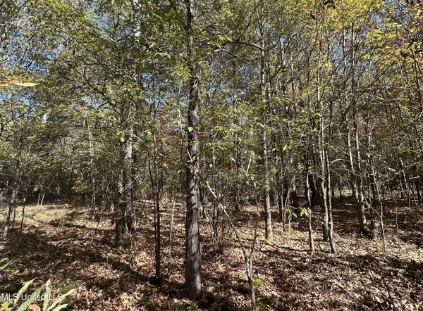 $285,000 | 5151 Nash Road, Batesville, MS 38606