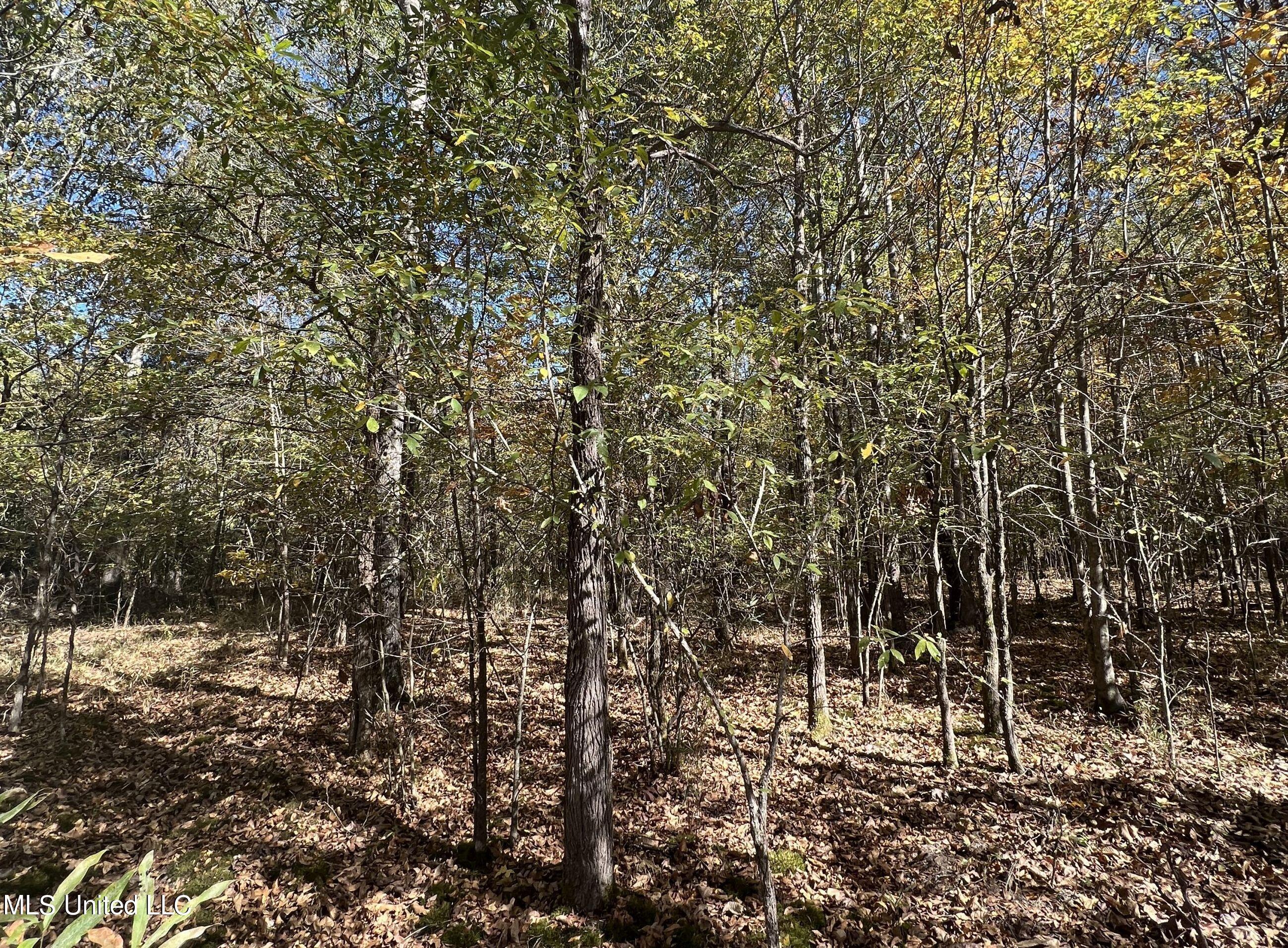 5151 Nash Road Batesville, MS 38606 - Photo 56 of 75 3irvi66