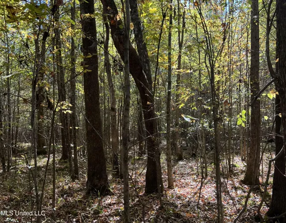 $285,000 | 5151 Nash Road, Batesville, MS 38606