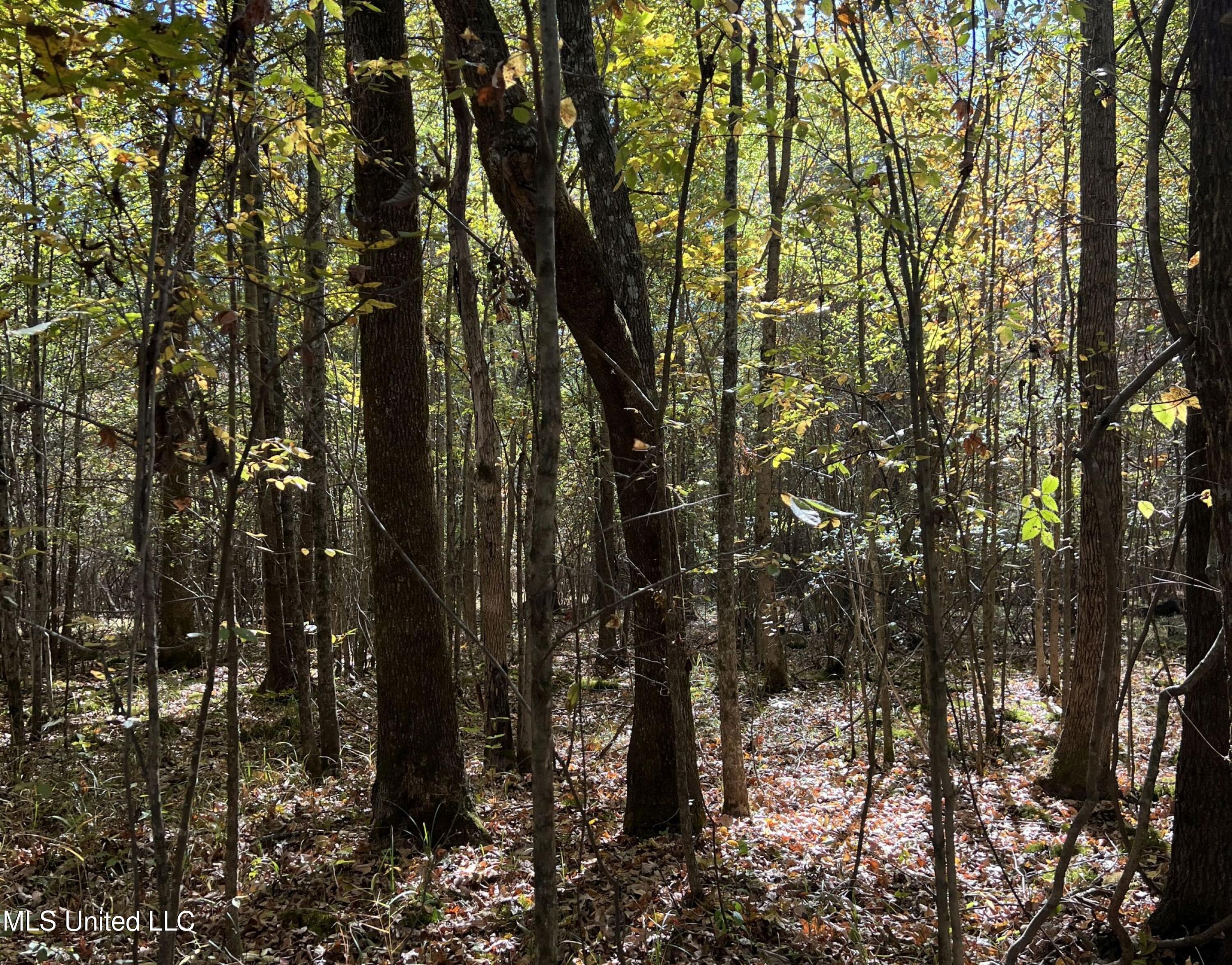 5151 Nash Road Batesville, MS 38606 - Photo 58 of 75 3irvi75