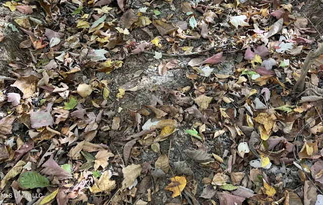 $285,000 | 5177 B Nash Road, Batesville, MS 38606