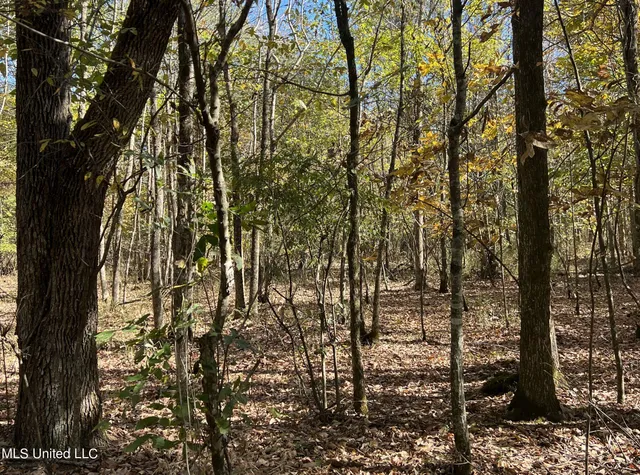 $285,000 | 5177 B Nash Road, Batesville, MS 38606