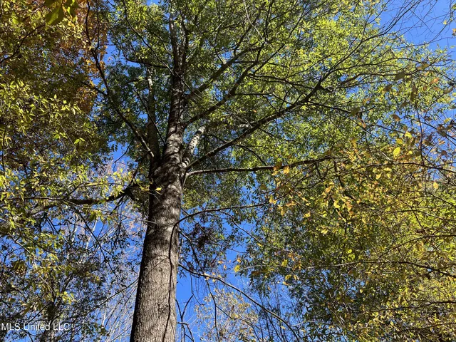 $285,000 | 5177 B Nash Road, Batesville, MS 38606