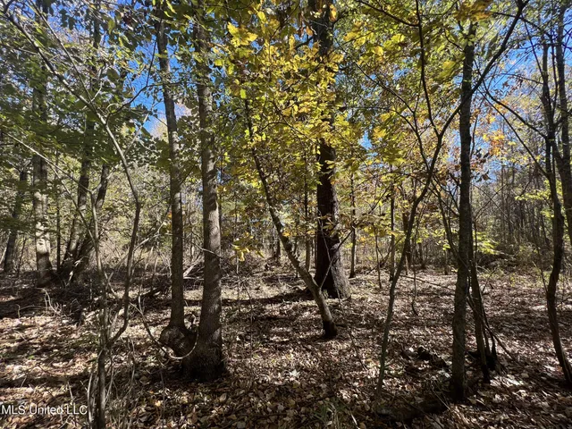 $285,000 | 5177 B Nash Road, Batesville, MS 38606