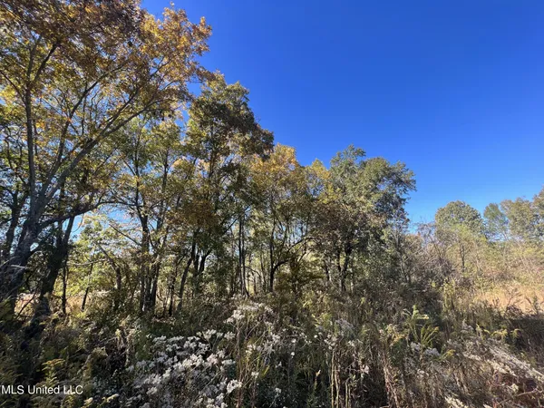$285,000 | 5151 Nash Road, Batesville, MS 38606