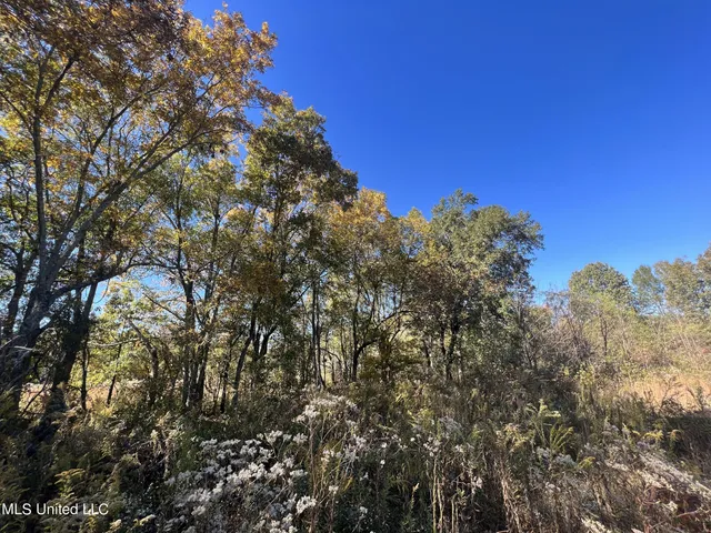 $285,000 | 5177 B Nash Road, Batesville, MS 38606