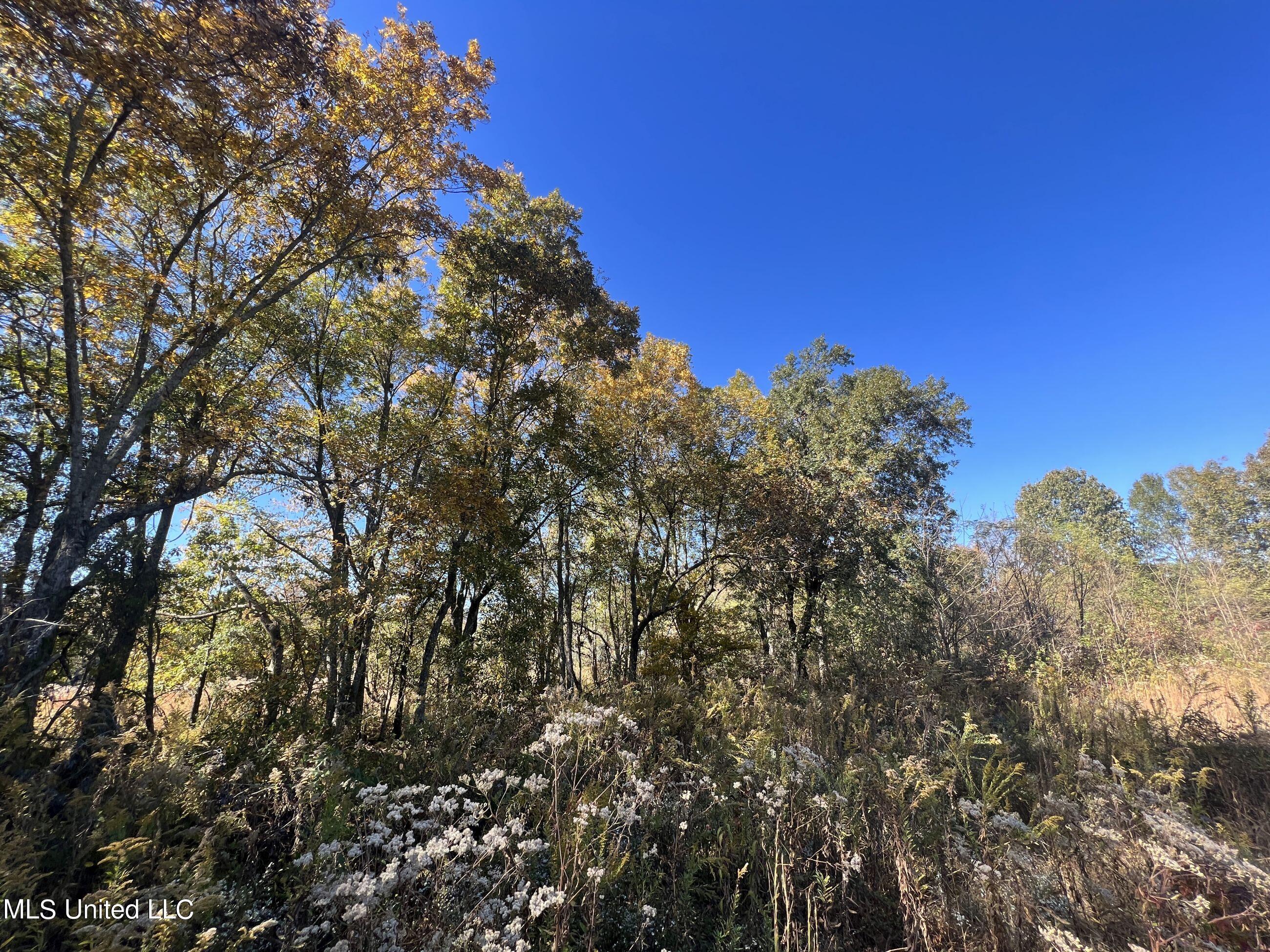 5151 Nash Road Batesville, MS 38606 - Photo 67 of 75 3irvi89