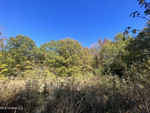 $285,000 | 5177 B Nash Road, Batesville, MS 38606