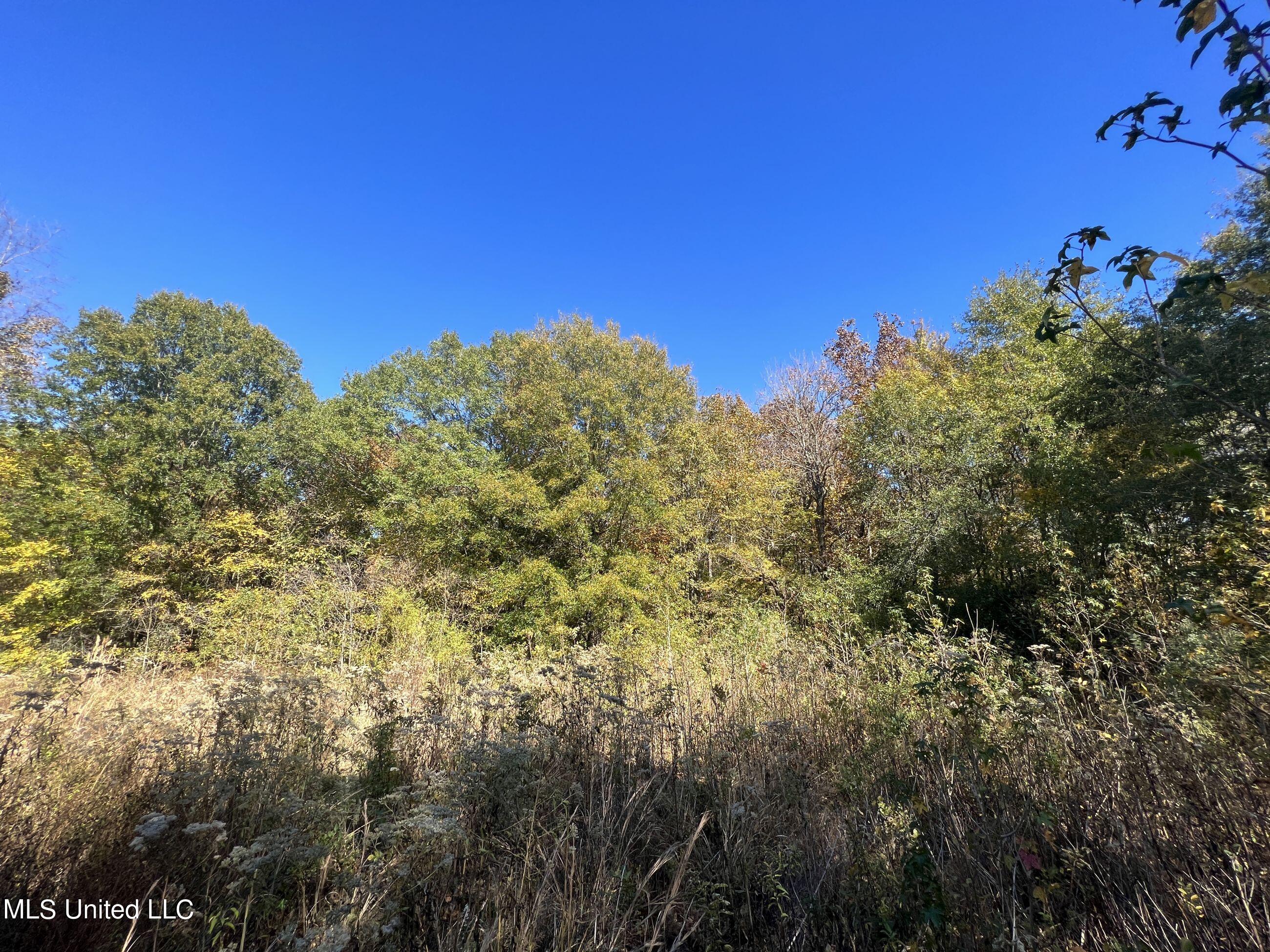 5151 Nash Road Batesville, MS 38606 - Photo 69 of 75 3irvi93