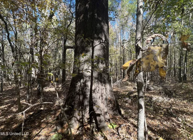 $285,000 | 5177 B Nash Road, Batesville, MS 38606