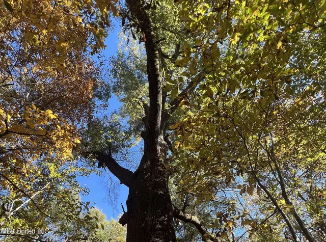 $285,000 | 5177 B Nash Road, Batesville, MS 38606