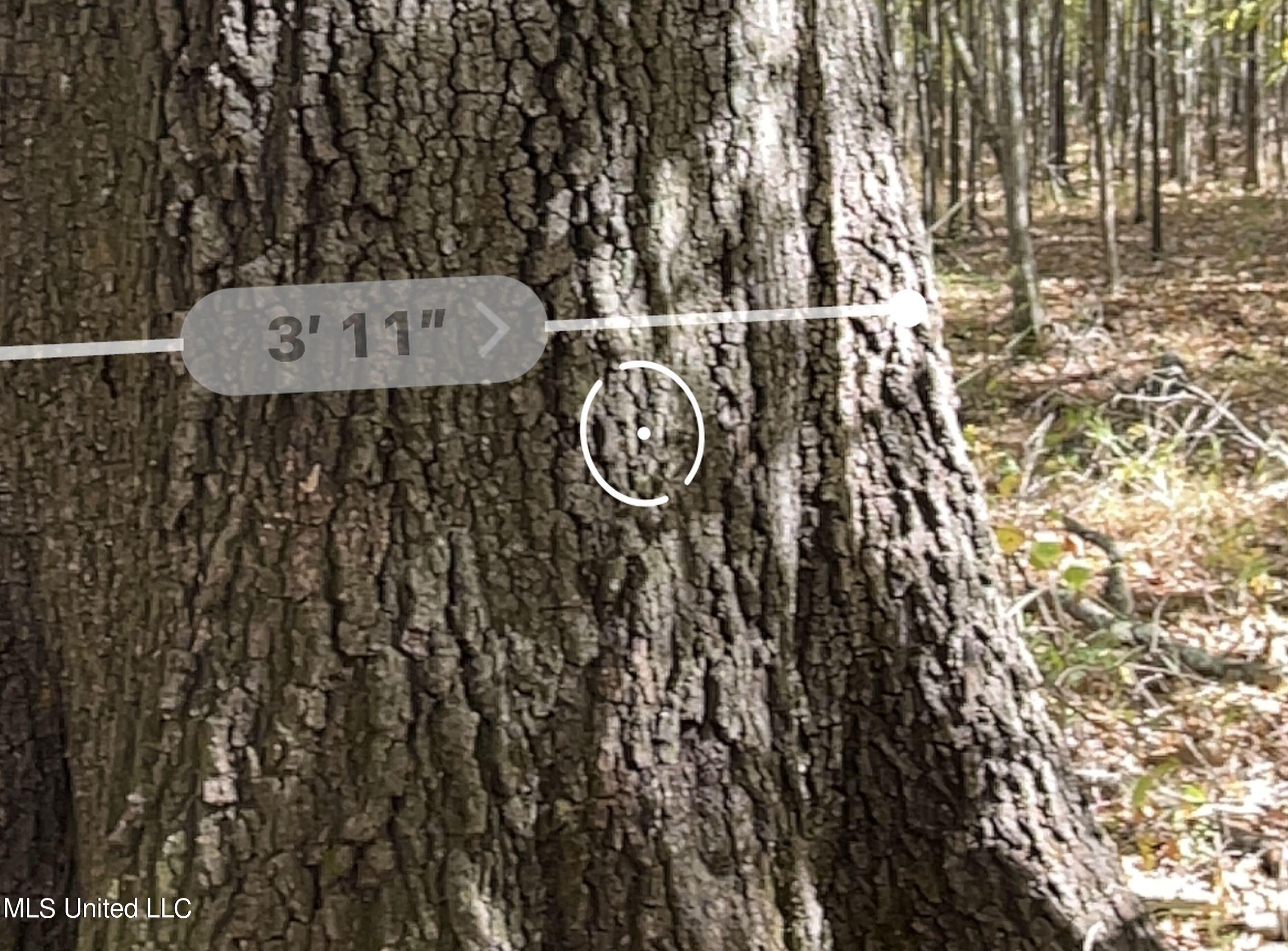 5151 Nash Road Batesville, MS 38606 - Photo 74 of 75 3irvi99