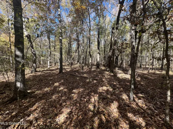 $285,000 | 5151 Nash Road, Batesville, MS 38606