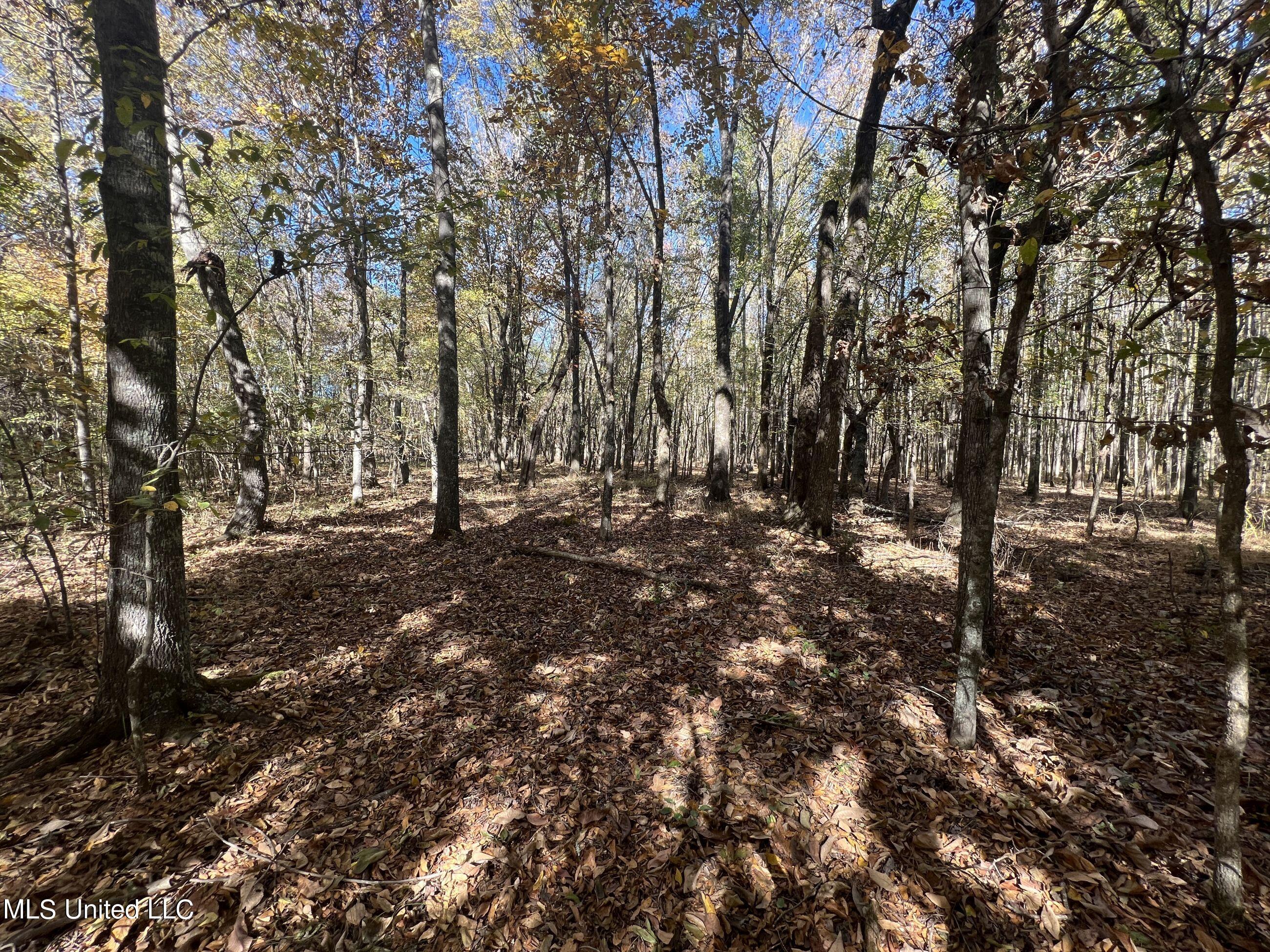 5151 Nash Road Batesville, MS 38606 - Photo 75 of 75 3irvi100