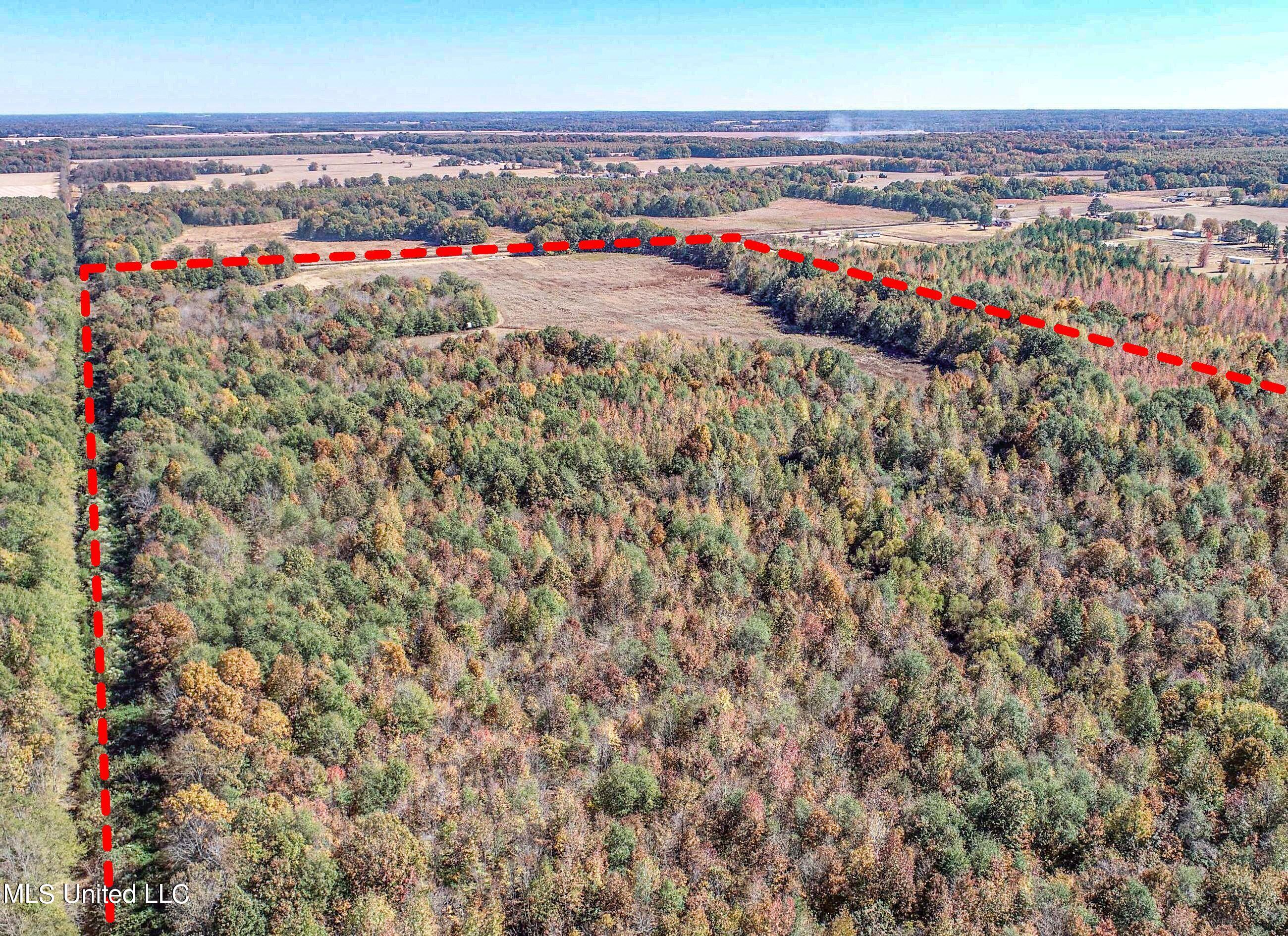 5151 Nash Road Batesville, MS 38606 - Photo 9 of 75 2irvi12C