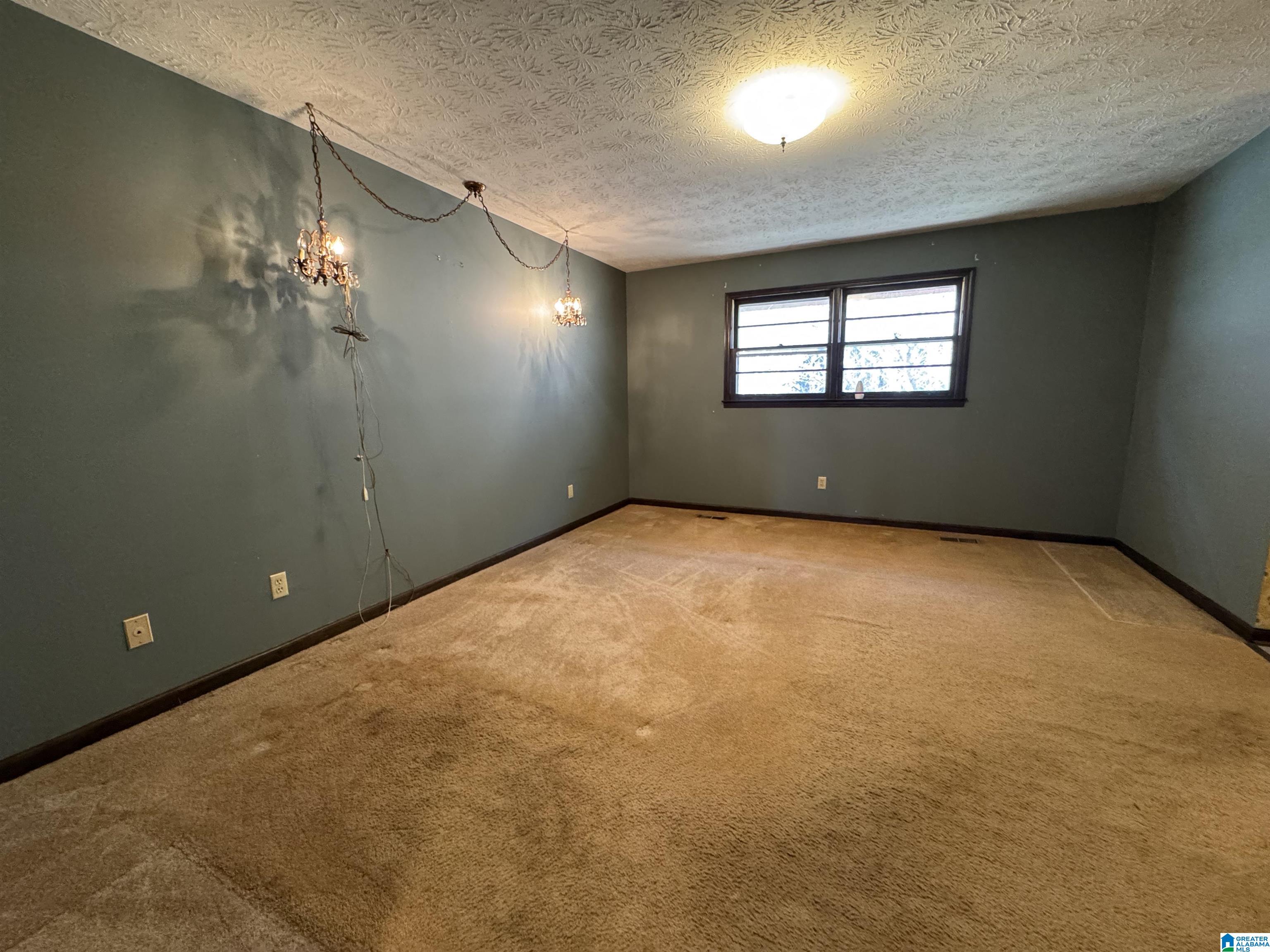 810 Dailey Street Piedmont, AL 36272 - Photo 17 of 49