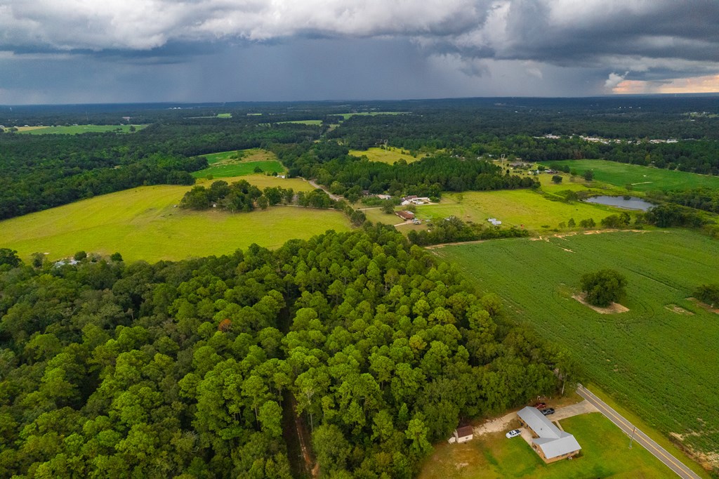 0 East Wayne Road Dothan, AL 36301 - Photo 14 of 18