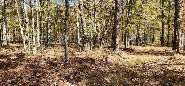 a view of covered with trees