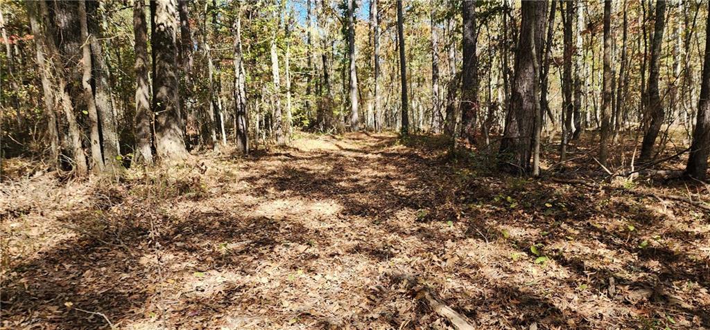 0 Hwy 411 Rome Ga 30161 Rome, GA 30161 - Photo 3 of 7 a view of outdoor space and a yard