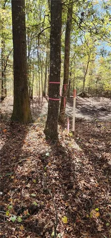 a view of a tree in the middle of a yard