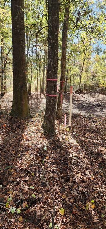 0 Hwy 411 Rome Ga 30161 Rome, GA 30161 - Photo 7 of 18