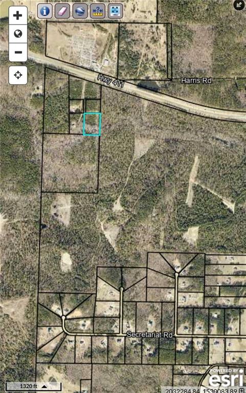 0 Hwy 411 Rome Ga 30161 Rome, GA 30161 - Photo 9 of 18