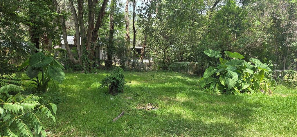 20055 Ruth Street Brooksville, FL 34601 - Photo 8 of 8