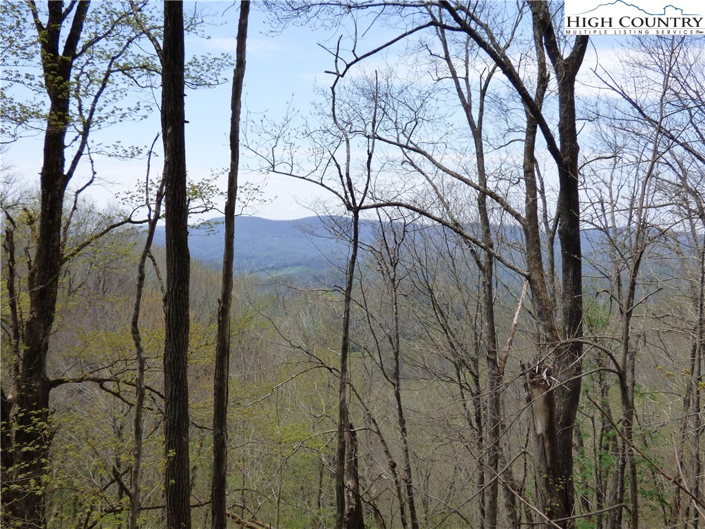 Lot 9 Turkey Ridge Road Vilas, NC 28692 - Photo 1 of 8 Gallery Image 1
