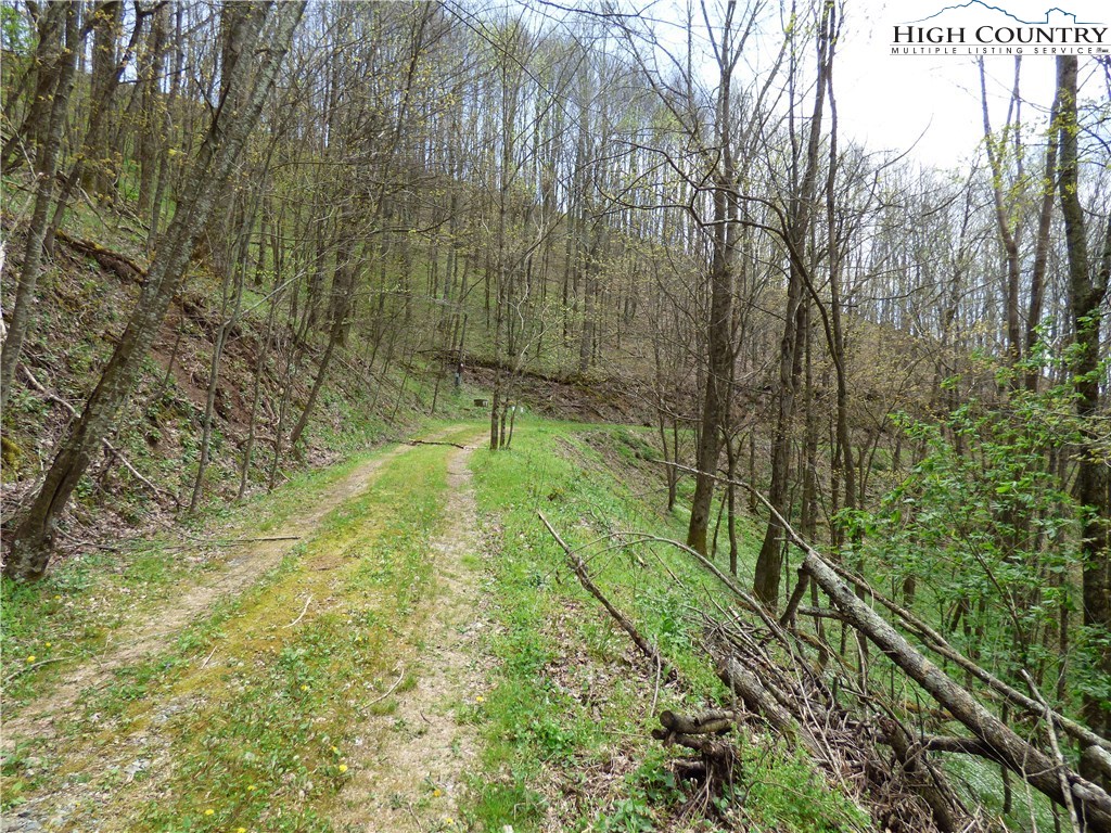 Lot 9 Turkey Ridge Road Vilas, NC 28692 - Photo 2 of 8 Gallery Image 2