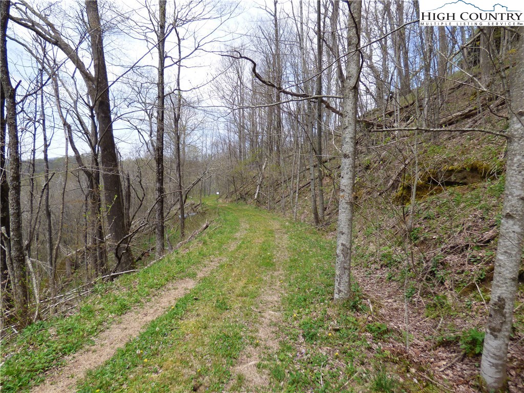 Lot 9 Turkey Ridge Road Vilas, NC 28692 - Photo 3 of 8 Gallery Image 3