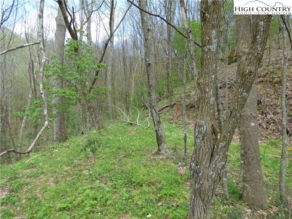 Lot 9 Turkey Ridge Road Vilas, NC 28692 - Photo 4 of 8 Gallery Image 4