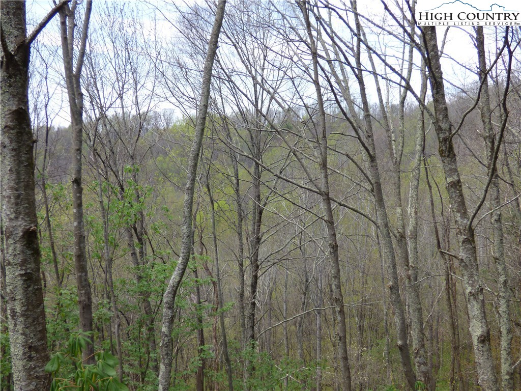 Lot 9 Turkey Ridge Road Vilas, NC 28692 - Photo 5 of 8 Gallery Image 5