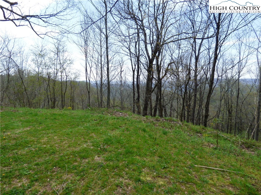 Lot 9 Turkey Ridge Road Vilas, NC 28692 - Photo 6 of 8 Gallery Image 6